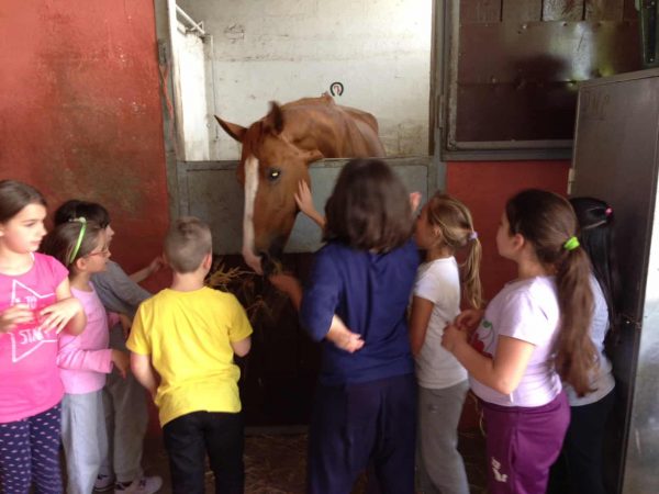 CAVALLO-MAGICO.jpg